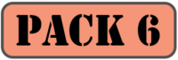 Pack 6 Logo